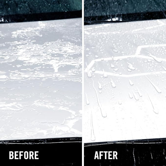 Turtle Wax ICE Seal N Shine, Car Wax Sealant, High Gloss Shine, Insane Water Beading and Durable Paint Protection, Carnauba Wax Infused, For Paint, Wheels, Glass, Plastics and More, 16oz (Pack of 6)