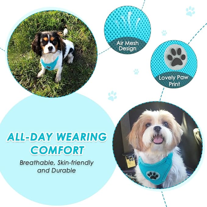 Lukovee Dog Car Harness Seat Belt, Adjustable Mesh Breathable Vest with Elastic Bungee Tether, Soft Padded 2-in-1 Safety Car Harness Seatbelt for Small Medium Large Dogs (Light Blue,XXS)