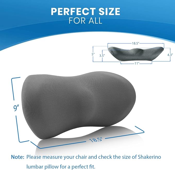 Lumbar Support Pillow for Car with Dual-Grip Stability System - Advanced Adaptive Memory Foam Back Pillow for Lower Back Pain Relief, Ergonomic Driving Seat & Office Chair Cushion, Gray