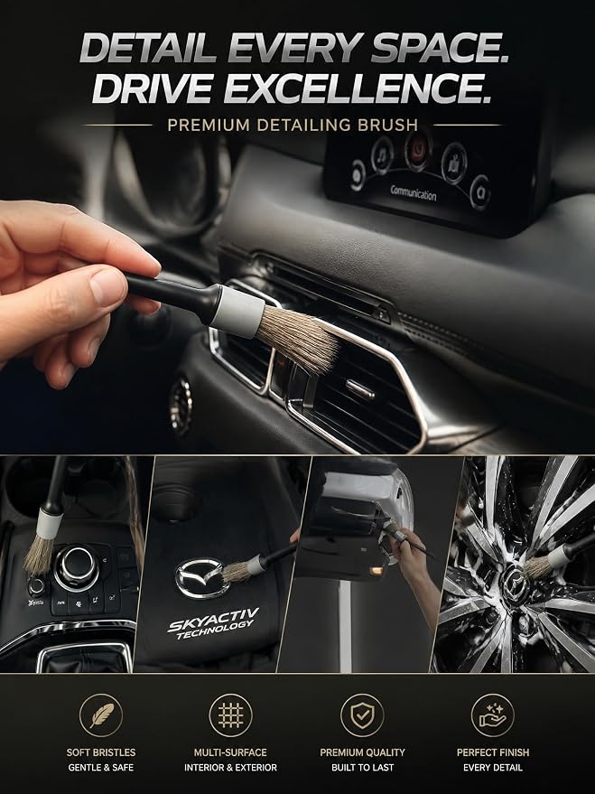 TAKAVU Car Detailing Brush Kit, 10 Piece Boar Hair Detail Brush Set for Car Interior and Engine Bay Cleaning, Auto Detailing Brushes with Wire Brushes and Microfiber Towel