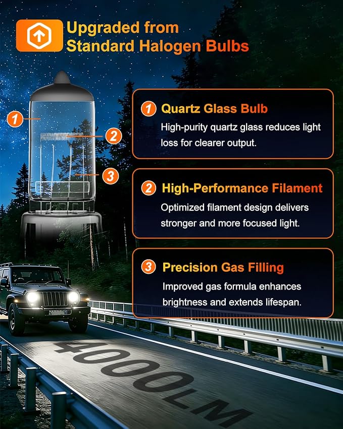 9004/HB1 Halogen Headlight Bulbs, 12V 55W, 3800K,4000 Lumens,Headlight High and Low Beam,Automotive Headlight Bulbs,Head Light Bulbs for Car,9004 Bulbs, Pack of 2