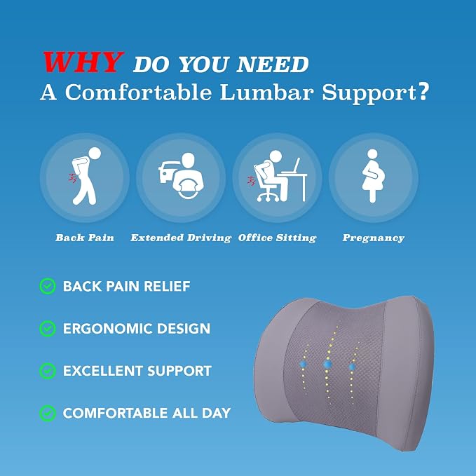 Lofty Aim Lumbar Support Pillow for Car, Memory Foam Lumbar Pillow for Lower Back Pain Relief - Back Cushion for Driving, Chair Support for Car-Office Chair, Wheelchair - Gray