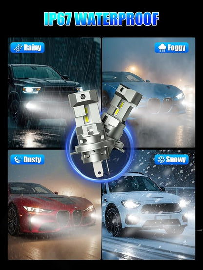 RCJ H4 Fog Bulbs, Powersports Off-Road Use or Fog Light, Pack of 2