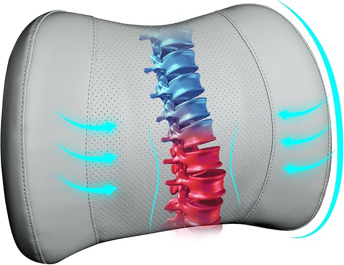 Lofty Aim Classic Memory Foam Lumbar Cushion Provides Excellent Back Support and Pain Relief - Back Cushion for Driving, Chair Support for Car-Office Chair, Wheelchair - Classic Gray
