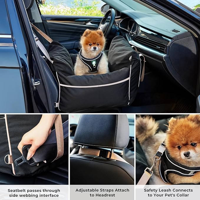 ZOMISIA Dog Car Seat for Small Dogs - Waterproof Pet Booster Seat for Car with Clip-On Safety Leash, Travel Carrier for Medium Puppy up to 25 lbs, Adjustable Buckles, Black