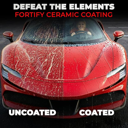 Car Wax Spray and Ceramic Coating for Cars - 3 in 1 Waterless Car Wash and Detailing - Quick Effect Coating Agent for Car - High Gloss Car Coating Spray, Shiny Car Stuff by Shine Armor - 8FlOz