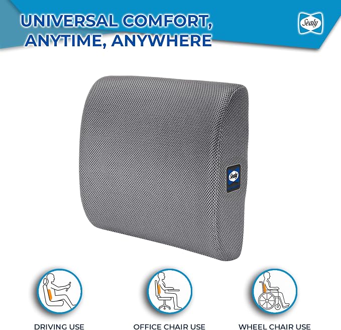 Sealy Ergonomic Lumbar Support Pillow for Office Chair and Car Seat - Memory Foam Back Support Lumbar Pillow, Premium Cushion Chair Support for Lower Back Pain Relief and Versatile Use (Gray)