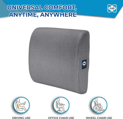 Sealy Ergonomic Lumbar Support Pillow for Office Chair and Car Seat - Memory Foam Back Support Lumbar Pillow, Premium Cushion Chair Support for Lower Back Pain Relief and Versatile Use (Gray)
