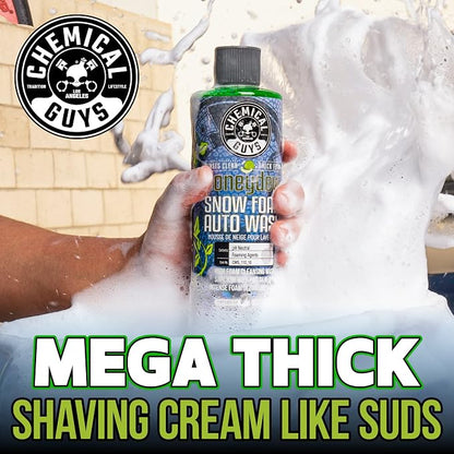 Chemical Guys CWS_110_16 Honeydew Snow Foam Car Wash Soap (Works with Foam Cannons, Foam Guns or Bucket Washes) Safe for Cars, Trucks, Motorcycles, RVs & More, 16 fl oz, Honeydew Scent