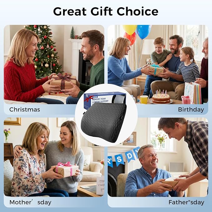 Lumbar Support Pillow for Car & Office Chair - High-Density Memory Foam Back Cushion for Sciatica & Lower Back Pain Relief - Non-Slip Support for Long Commutes & Desk Workers (4D Mesh Black)