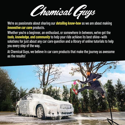 Chemical Guys Bug & Tar Wash Heavy Duty Bug, Tar, Grime, Tree Sap & Bird Dropping Remover - Safe for Paint, Glass, Chrome, Plastic & All Exterior Surfaces (64 oz) CWS_104_64