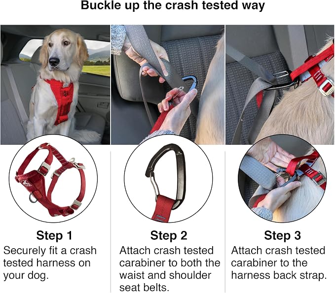 Kurgo Enhanced Strength Tru-Fit Dog Car Harness - Pet Travel Safety Harness - Crash Test Certified Fit - Five Point Adjustment - Secure Buckle - Padded Chest - Black - Medium