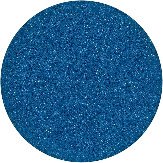 RUPES 40mm Pack of 6 Blue D-A Coarse Cutting Foam Pads | Ideal for Severe Paint Correction & Gloss Enhancement | Improves Finishing Performance | Compatible with 1.5" Backing Plate