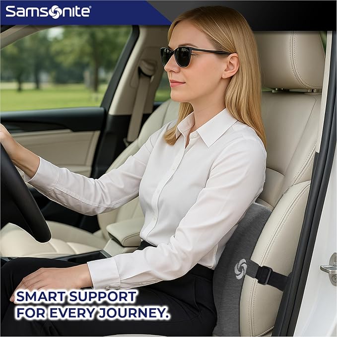 Samsonite Ergonomic Lumbar Support Pillow for Office Chair and Car Seat - Memory Foam Back Support Lumbar Pillow Premium Cushion Chair Support for Lower Back Pain Relief and Versatile Use (Slate Grey)