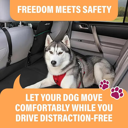 Active Pets Orange Car Seat Belt for Dogs, Attaches to Harness & Collar, Adjustable 18" - 24" Travel Restraint System Fits Small - Large Pups for Safety & Comfort, Essential Pet Supplies & Accessories