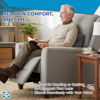 Sealy Ergonomic Lumbar Support Pillow for Office Chair and Car Seat - Memory Foam Back Support Lumbar Pillow, Premium Cushion Chair Support for Lower Back Pain Relief and Versatile Use (Gray)
