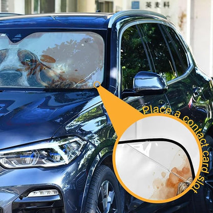 Basset Hound Windshield Sun Shade Basset Hound Sunshade Auto Blocks UV Rays Visor Protector Funny Dog Accordion Folding Sun Reflector Auto Sunshade for Car Truck SUV to Keep Your Vehicle Cool