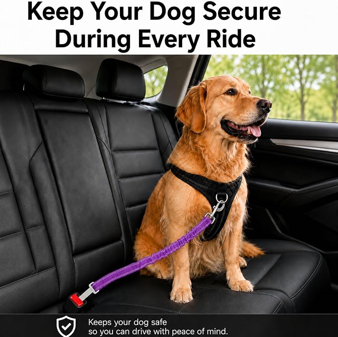 Dog Seat Belt 2Pcs, Retractable Pet Car Harness, Adjustable Dog SeatBelts for Vehicle, Nylon Pet Safety with Elastic Bungee