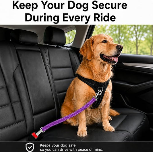 Dog Seat Belt 2Pcs, Retractable Pet Car Harness, Adjustable Dog SeatBelts for Vehicle, Nylon Pet Safety with Elastic Bungee