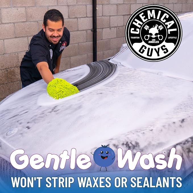Chemical Guys CWS21616 Blueberry Snow Foam Car Wash Soap (Works with Foam Cannons, Foam Guns or Bucket Washes), Safe for Cars, Trucks, SUVs, Jeeps, Motorcycles, RVs & More, 16 fl. Oz