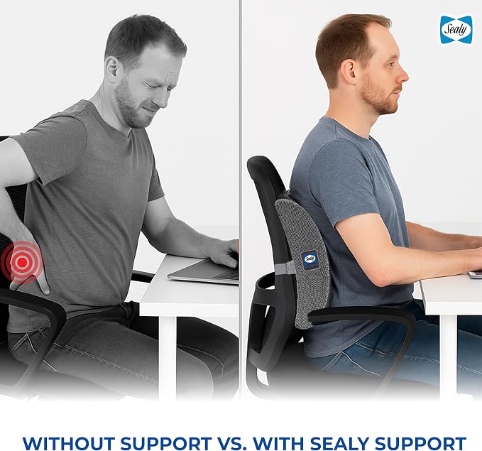 Sealy Ergonomic Lumbar Support Pillow for Office Chair and Car Seat - Memory Foam Back Support Lumbar Pillow, Premium Cushion Chair Support for Lower Back Pain Relief and Versatile Use (Gray)