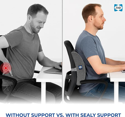 Sealy Ergonomic Lumbar Support Pillow for Office Chair and Car Seat - Memory Foam Back Support Lumbar Pillow, Premium Cushion Chair Support for Lower Back Pain Relief and Versatile Use (Gray)