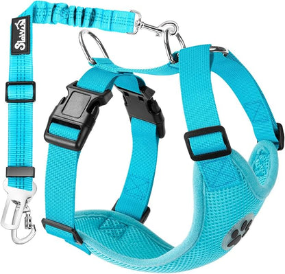 Lukovee Dog Car Harness Seat Belt, Adjustable Mesh Breathable Vest with Elastic Bungee Tether, Soft Padded 2-in-1 Safety Car Harness Seatbelt for Small Medium Large Dogs (Light Blue,XS)