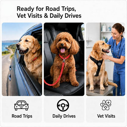 Dog Seat Belt 2Pcs, Retractable Pet Car Harness, Adjustable Dog SeatBelts for Vehicle, Nylon Pet Safety with Elastic Bungee