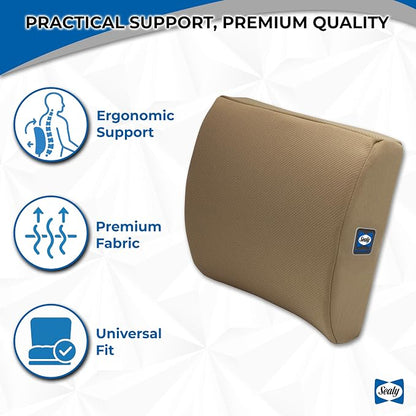 Sealy Memory Foam Lumbar Support Pillow – Ergonomic Back Cushion for Office Chairs and Car Seats, Premium Lower Back Pain Relief and Multi-Purpose Comfort (Brown)