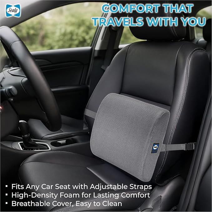 Sealy Ergonomic Lumbar Support Pillow for Office Chair and Car Seat - Memory Foam Back Support Lumbar Pillow, Premium Cushion Chair Support for Lower Back Pain Relief and Versatile Use (Gray)