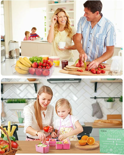 Snackle Box Container, Dishwasher Safety - Divided Serving Tray with Lid and Handle, Charcuterie Board for Portable Snack Platters - Organizer for Fruits Snacks - Perfect for Road Travel Party - Pink