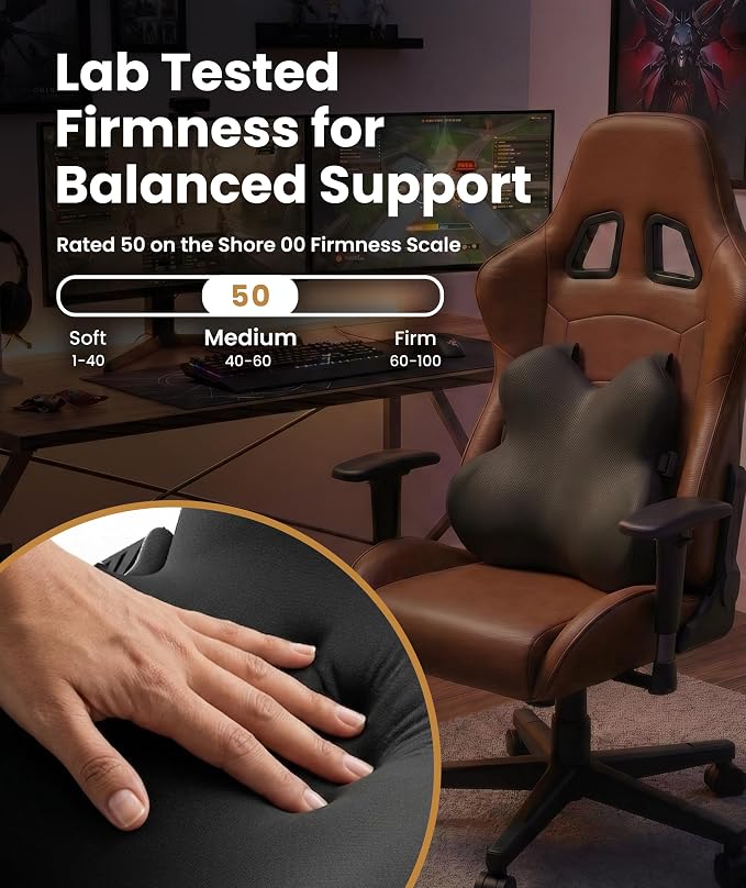Everlasting Comfort Lumbar Support Pillow for Office Chair - Memory Foam Back Cushion for Car Seat - Promotes Better Posture, Back Pain Relief - Ideal Gaming and Desk Chairs Work and Home Essentials