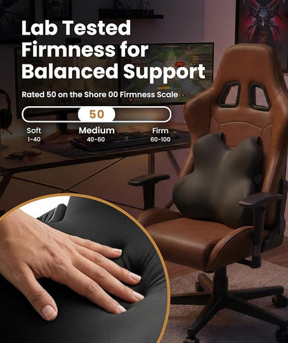 Everlasting Comfort Lumbar Support Pillow for Office Chair - Memory Foam Back Cushion for Car Seat - Promotes Better Posture, Back Pain Relief - Ideal Gaming and Desk Chairs Work and Home Essentials