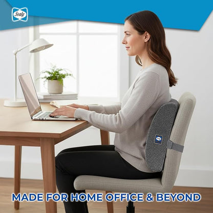 Sealy Ergonomic Lumbar Support Pillow for Office Chair and Car Seat - Memory Foam Back Support Lumbar Pillow, Premium Cushion Chair Support for Lower Back Pain Relief and Versatile Use (Gray)