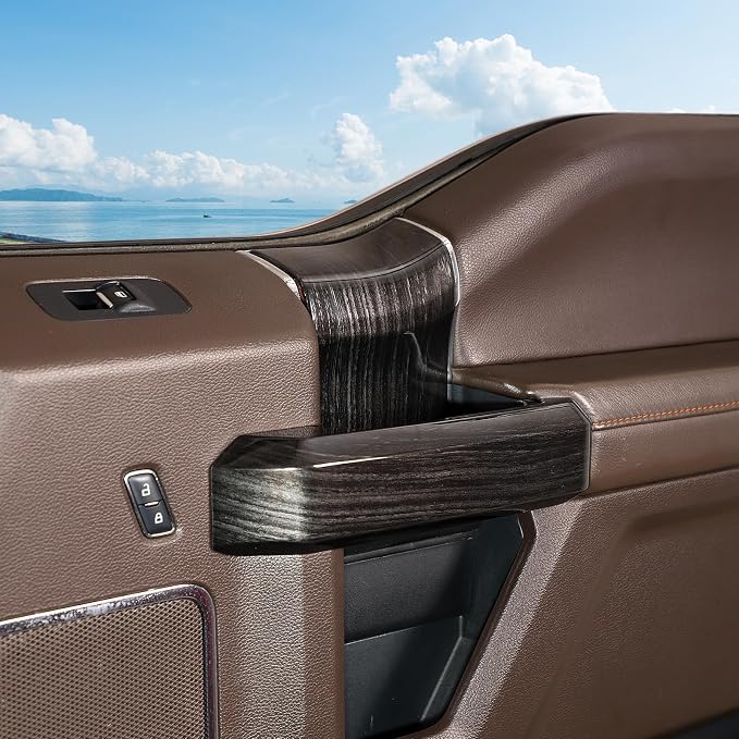 Jimen Compatible with Ford F150 4 Door 2015-2020, 8PCS Inner Door Handle Cover Trim Kits (Black Wood Grain)