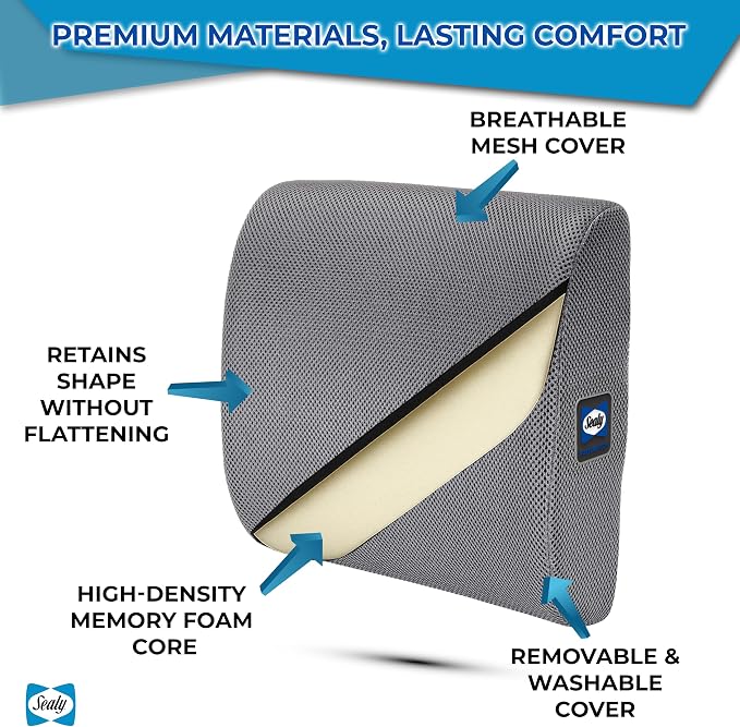 Sealy Ergonomic Lumbar Support Pillow for Office Chair and Car Seat - Memory Foam Back Support Lumbar Pillow, Premium Cushion Chair Support for Lower Back Pain Relief and Versatile Use (Gray)