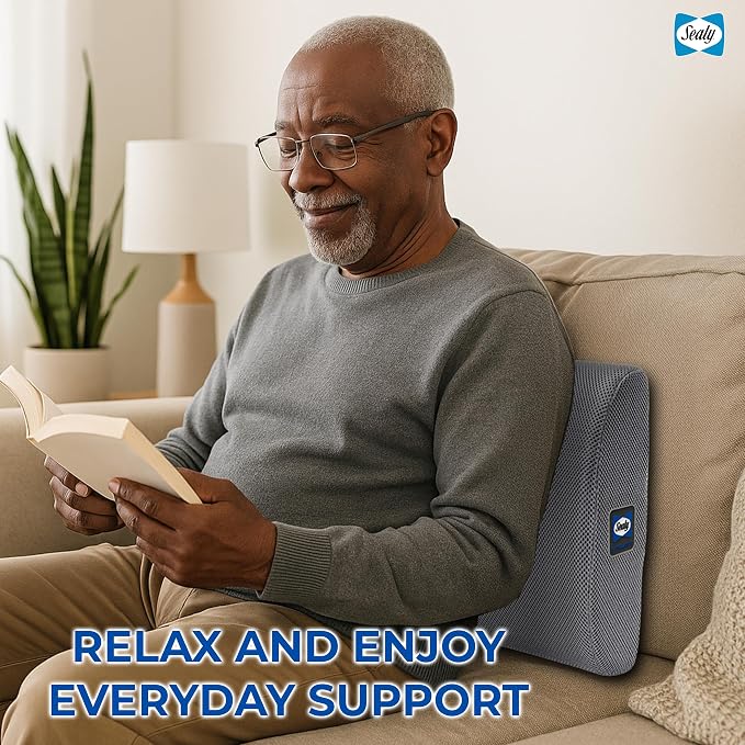 Sealy Ergonomic Lumbar Support Pillow for Office Chair and Car Seat - Memory Foam Back Support Lumbar Pillow, Premium Cushion Chair Support for Lower Back Pain Relief and Versatile Use (Gray)