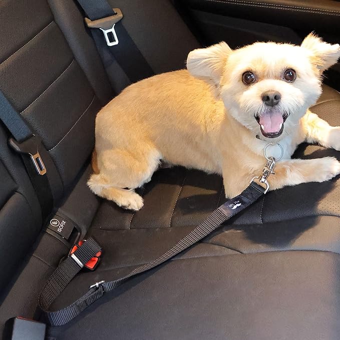 Mr. Pen- Dog Seat Belt, 2 Pack, Adjustable Dog Seat Belt for Car | Dog Seatbelt, Dog Car Seat Belts, Seat Belt for Dogs in Car, Dog Car Seat Belt, Dog Car Leash, Dog Seatbelt Harness