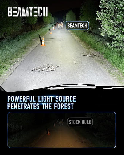 BEAMTECH Fog