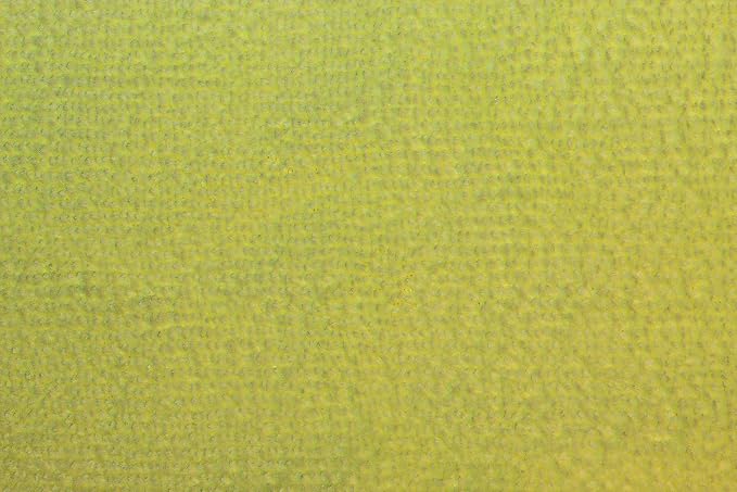 CleanAide Ultrasonic-Cut 300 GSM Microfiber Cleaning Towels, Lint-Free, Scratch-Free, Highly Absorbent, Durable & Reusable with Label-Free Edges for Auto, Home & Commercial Use, 14" x 14", 12-Pack,