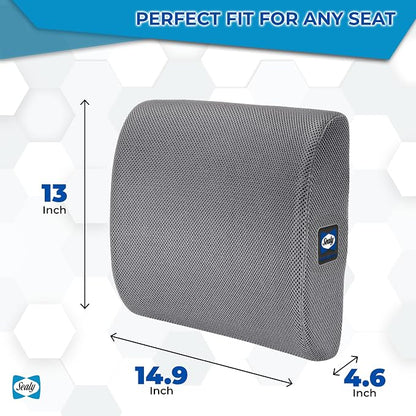 Sealy Ergonomic Lumbar Support Pillow for Office Chair and Car Seat - Memory Foam Back Support Lumbar Pillow, Premium Cushion Chair Support for Lower Back Pain Relief and Versatile Use (Gray)